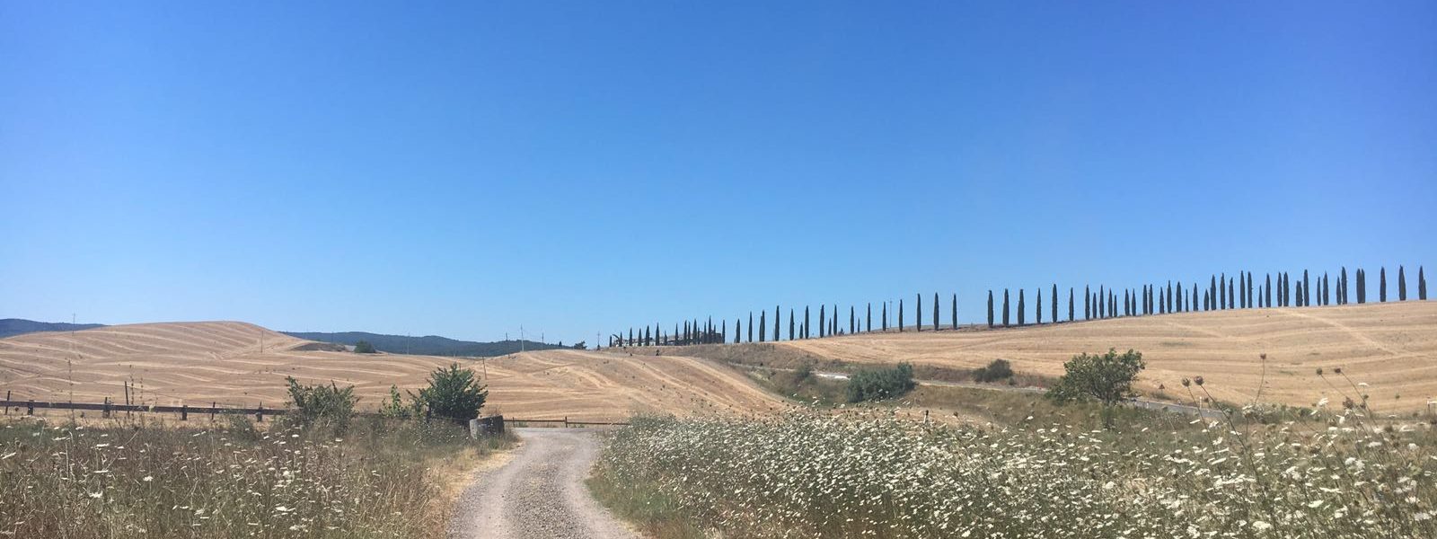 via francigena