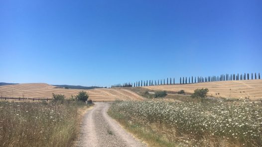 via francigena