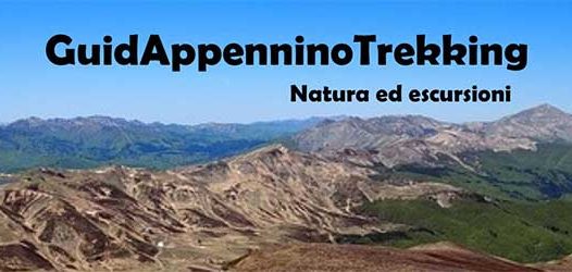 Escursioni guidate - Guidappenninotrekking